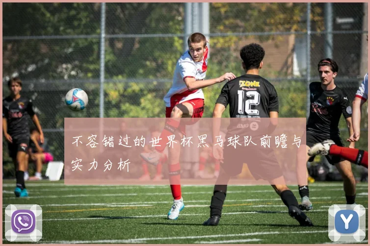 不容错过的世界杯黑马球队前瞻与实力分析